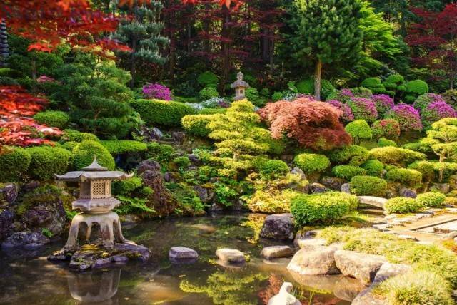 ogród japoński z oczkiem wodnym