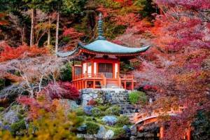 ogród w stylu japońskim