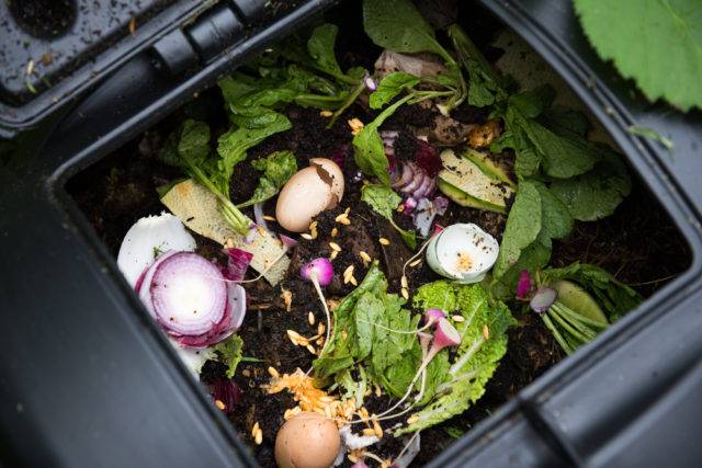 Dlaczego kompost jest nawozem naturalnym w ogrodzie