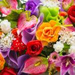 symbolika i znaczenie kwiatów