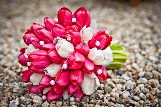 znaczenie i symbolika kwiatów bukiet tulipanów